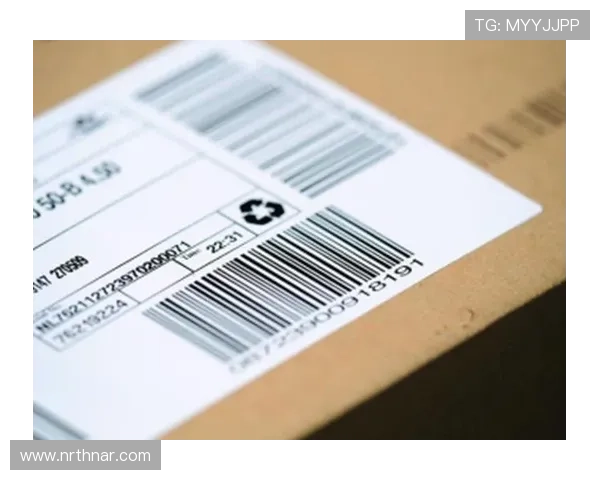 凯发正规会员登录官网安全可靠，保障您的账号信息安全与游戏体验